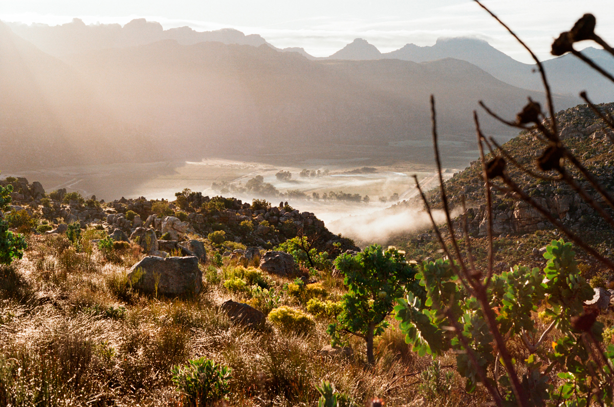 Read more about the article The Cederberg on 35mm film – Southern region