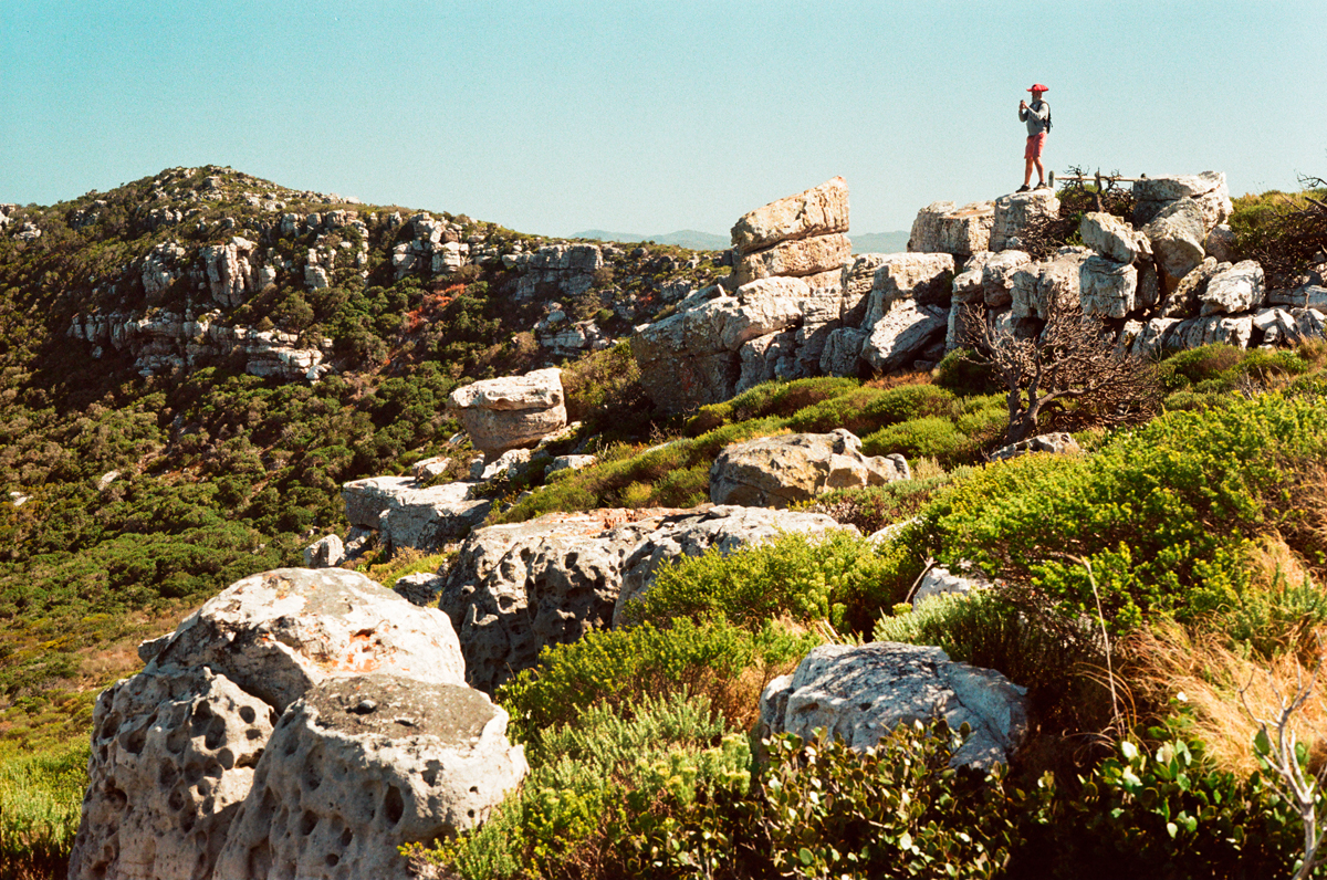 Read more about the article Cape Point on 35mm film – Cape of Good Hope Nature Reserve